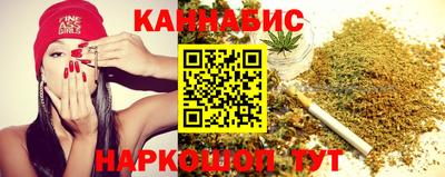 a pvp Новодвинск