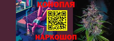 a pvp Новодвинск