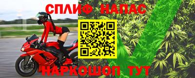 a pvp Новодвинск