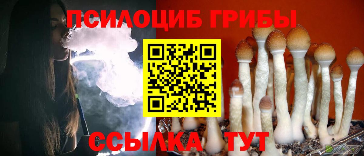 Балашиха  Псилоцибиновые грибы Psilocybine cubensis  Вход с VPN 