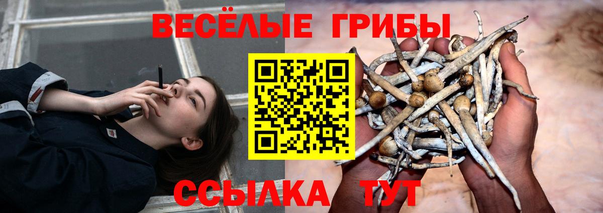 Галлюциногенные грибы Magic Shrooms Балашиха
